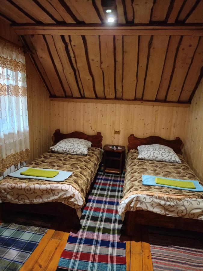 "Відпочинок В Карпатах" Villa Izki Luaran gambar